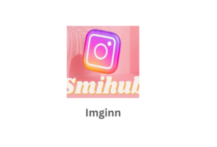 Imginn main image